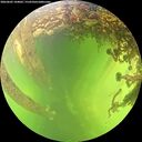 ./images/calvert/underwater/20260605/underwater20260605_144001M.jpg