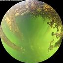 ./images/calvert/underwater/20260605/underwater20260605_145001M.jpg