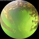 ./images/calvert/underwater/20260605/underwater20260605_145501M.jpg