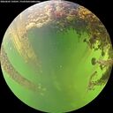 ./images/calvert/underwater/20260605/underwater20260605_150501M.jpg