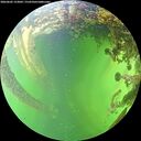 ./images/calvert/underwater/20260605/underwater20260605_153001M.jpg