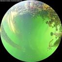 ./images/calvert/underwater/20260605/underwater20260605_154001M.jpg