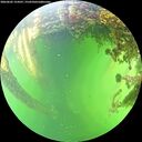 ./images/calvert/underwater/20260605/underwater20260605_154501M.jpg