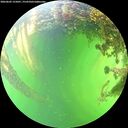./images/calvert/underwater/20260605/underwater20260605_155001M.jpg