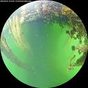 ./images/calvert/underwater/20260605/underwater20260605_155501M.jpg