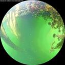 ./images/calvert/underwater/20260605/underwater20260605_160002M.jpg