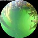 ./images/calvert/underwater/20260605/underwater20260605_160501M.jpg