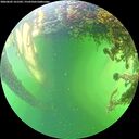 ./images/calvert/underwater/20260605/underwater20260605_161501M.jpg