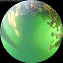 ./images/calvert/underwater/20260605/underwater20260605_162001M.jpg