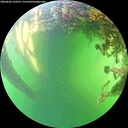 ./images/calvert/underwater/20260605/underwater20260605_162501M.jpg