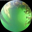 ./images/calvert/underwater/20260605/underwater20260605_163001M.jpg