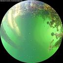 ./images/calvert/underwater/20260605/underwater20260605_163501M.jpg