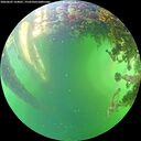 ./images/calvert/underwater/20260605/underwater20260605_164001M.jpg