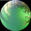 ./images/calvert/underwater/20260605/underwater20260605_165001M.jpg