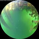 ./images/calvert/underwater/20260605/underwater20260605_170501M.jpg