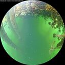 ./images/calvert/underwater/20260605/underwater20260605_171501M.jpg