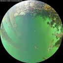 ./images/calvert/underwater/20260605/underwater20260605_172001M.jpg