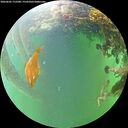 ./images/calvert/underwater/20260605/underwater20260605_172501M.jpg