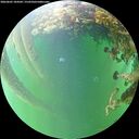 ./images/calvert/underwater/20260605/underwater20260605_184502M.jpg