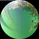 ./images/calvert/underwater/20260605/underwater20260605_190002M.jpg