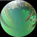 ./images/calvert/underwater/20260605/underwater20260605_191501M.jpg