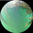 ./images/calvert/underwater/20260605/underwater20260605_194501M.jpg