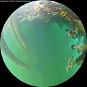 ./images/calvert/underwater/20260605/underwater20260605_195501M.jpg
