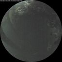 ./images/calvert/underwater/20260605/underwater20260605_222001M.jpg