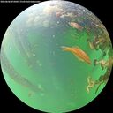 ./images/calvert/underwater/20260606/underwater20260606_075002M.jpg