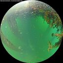 ./images/calvert/underwater/20260606/underwater20260606_085001M.jpg