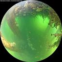 ./images/calvert/underwater/20260606/underwater20260606_104001M.jpg