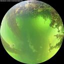 ./images/calvert/underwater/20260606/underwater20260606_113502M.jpg