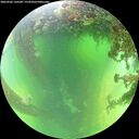 ./images/calvert/underwater/20260606/underwater20260606_120501M.jpg