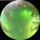 ./images/calvert/underwater/20260606/underwater20260606_123001M.jpg