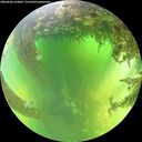 ./images/calvert/underwater/20260606/underwater20260606_124001M.jpg