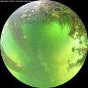./images/calvert/underwater/20260606/underwater20260606_125501M.jpg