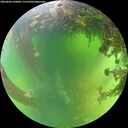 ./images/calvert/underwater/20260606/underwater20260606_130001M.jpg