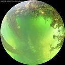 ./images/calvert/underwater/20260606/underwater20260606_130501M.jpg