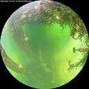 ./images/calvert/underwater/20260606/underwater20260606_131501M.jpg
