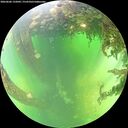 ./images/calvert/underwater/20260606/underwater20260606_132001M.jpg