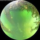 ./images/calvert/underwater/20260606/underwater20260606_132501M.jpg