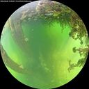./images/calvert/underwater/20260606/underwater20260606_133001M.jpg