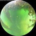 ./images/calvert/underwater/20260606/underwater20260606_133501M.jpg