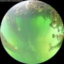 ./images/calvert/underwater/20260606/underwater20260606_134001M.jpg