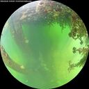 ./images/calvert/underwater/20260606/underwater20260606_134502M.jpg