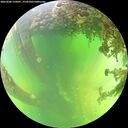 ./images/calvert/underwater/20260606/underwater20260606_135001M.jpg
