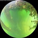 ./images/calvert/underwater/20260606/underwater20260606_135501M.jpg