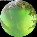 ./images/calvert/underwater/20260606/underwater20260606_140001M.jpg