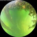 ./images/calvert/underwater/20260606/underwater20260606_140501M.jpg