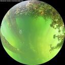 ./images/calvert/underwater/20260606/underwater20260606_141001M.jpg